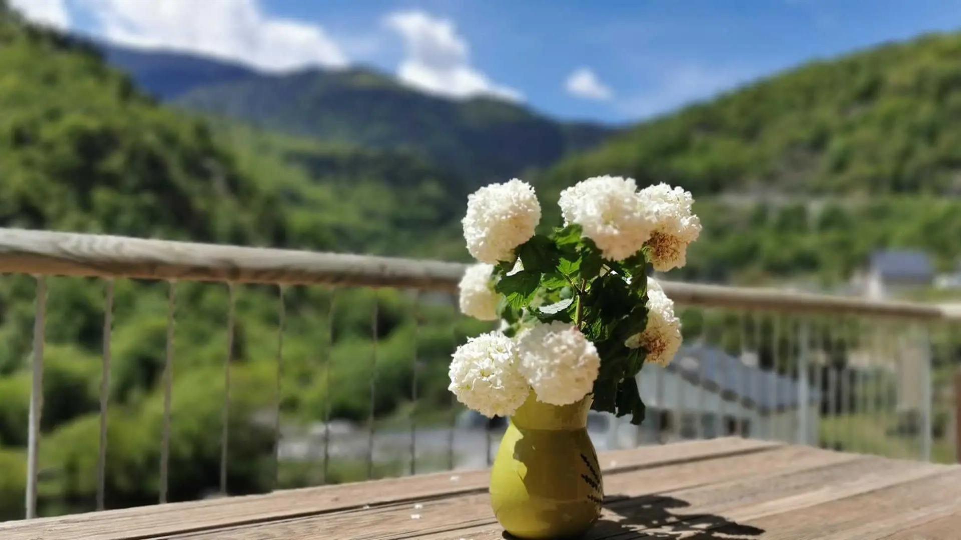 El paller del Franceset_13