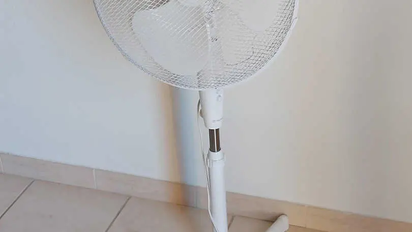 Canigou du Soleil Catalan_35