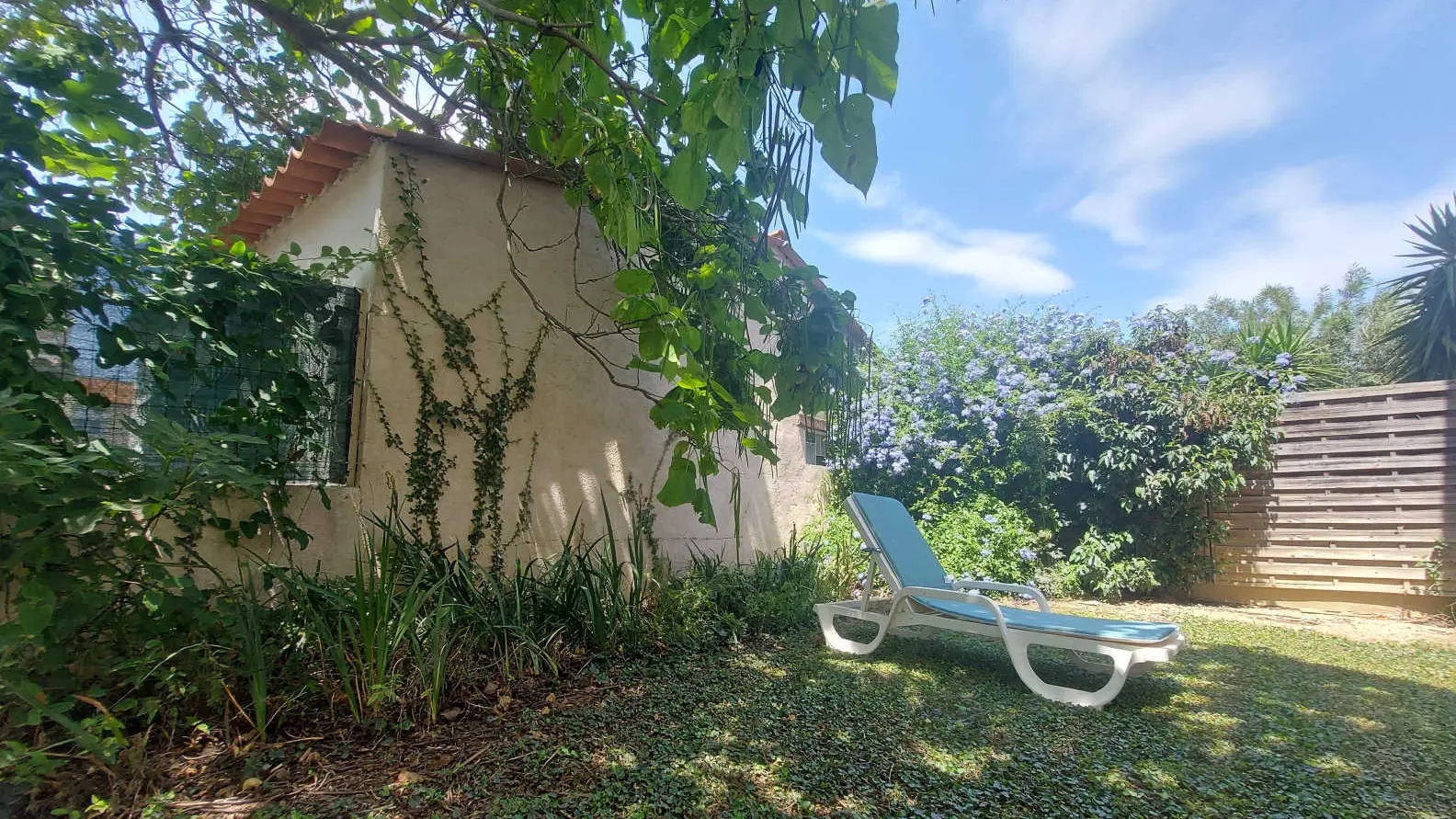 Canigou du Soleil Catalan_42