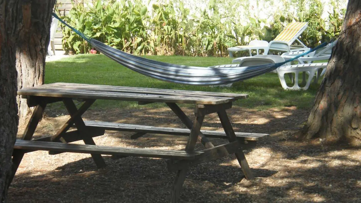 Canigou du Soleil Catalan_44