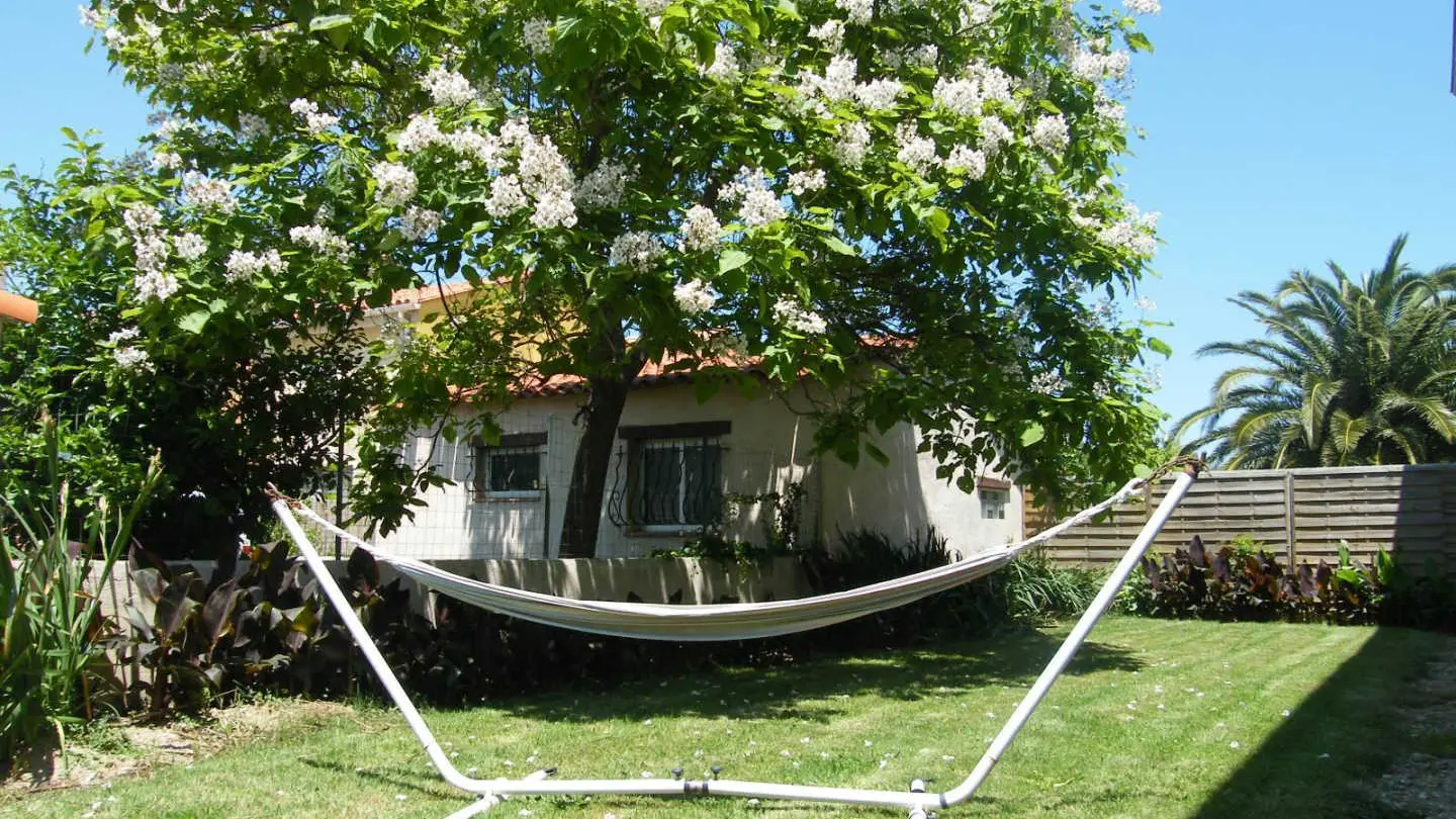 Canigou du Soleil Catalan_21