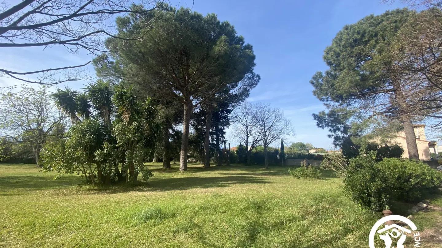 Le Tilleul du Parc de la Dame_8