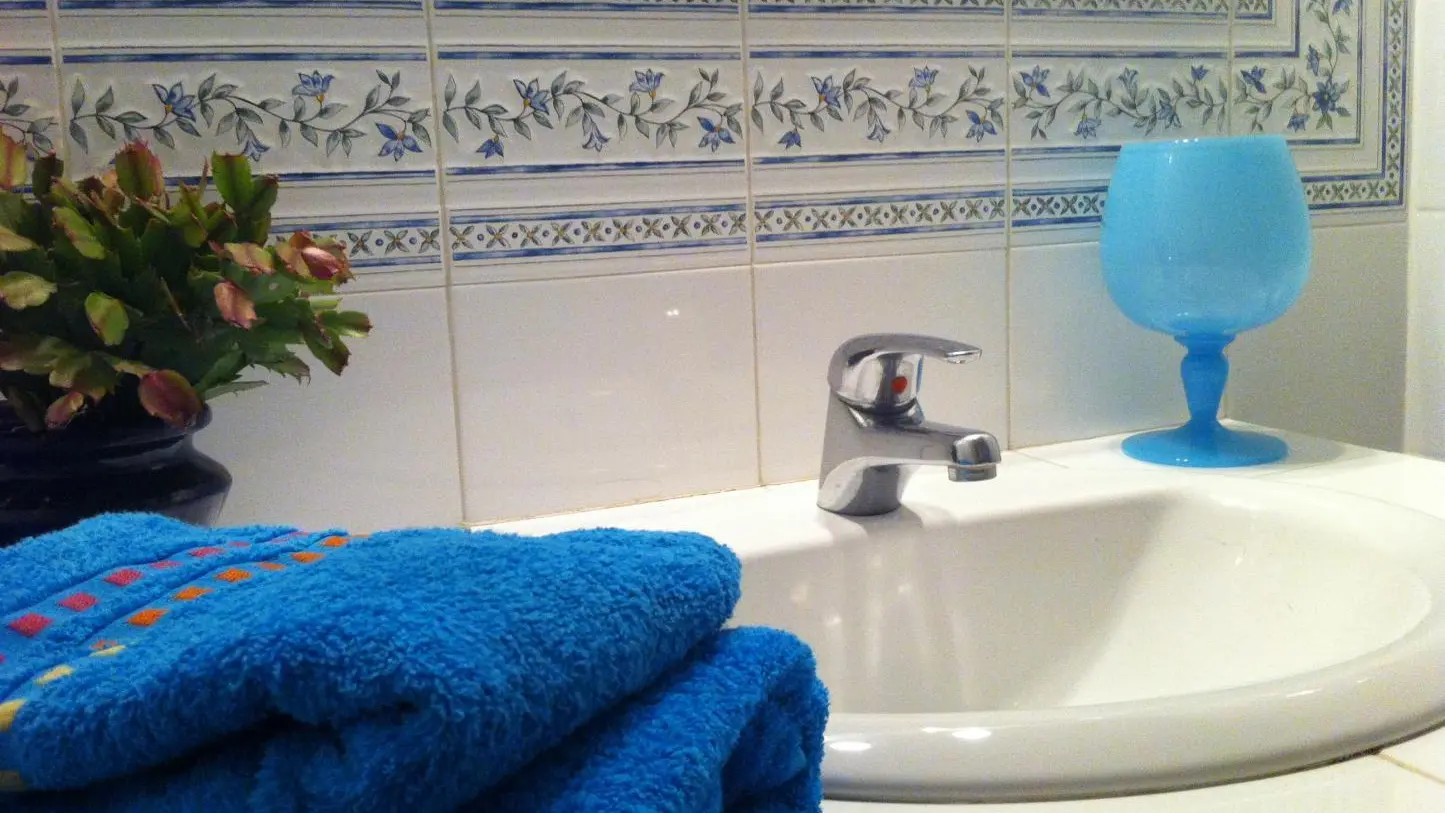 Le Tilleul du Parc de la Dame_16