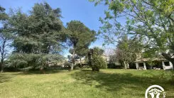 Le Cèdre du Parc de la Dame_1