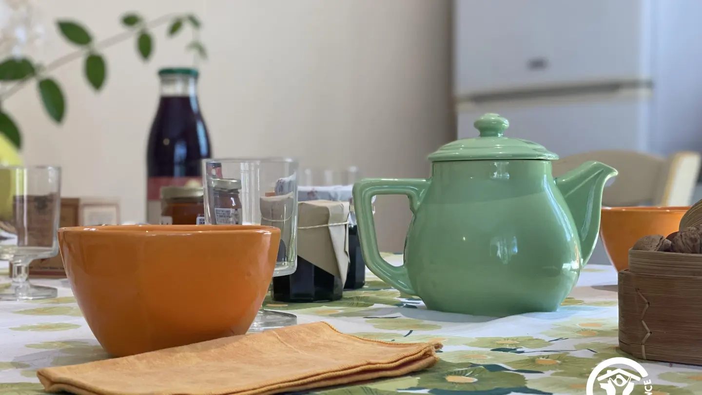 Le Cèdre du Parc de la Dame_12