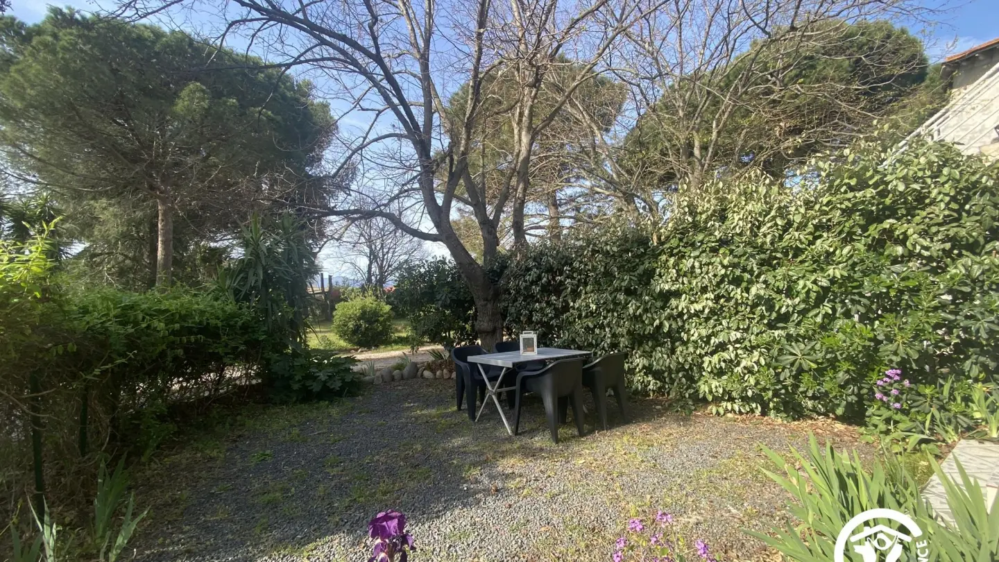 Le Cèdre du Parc de la Dame_8