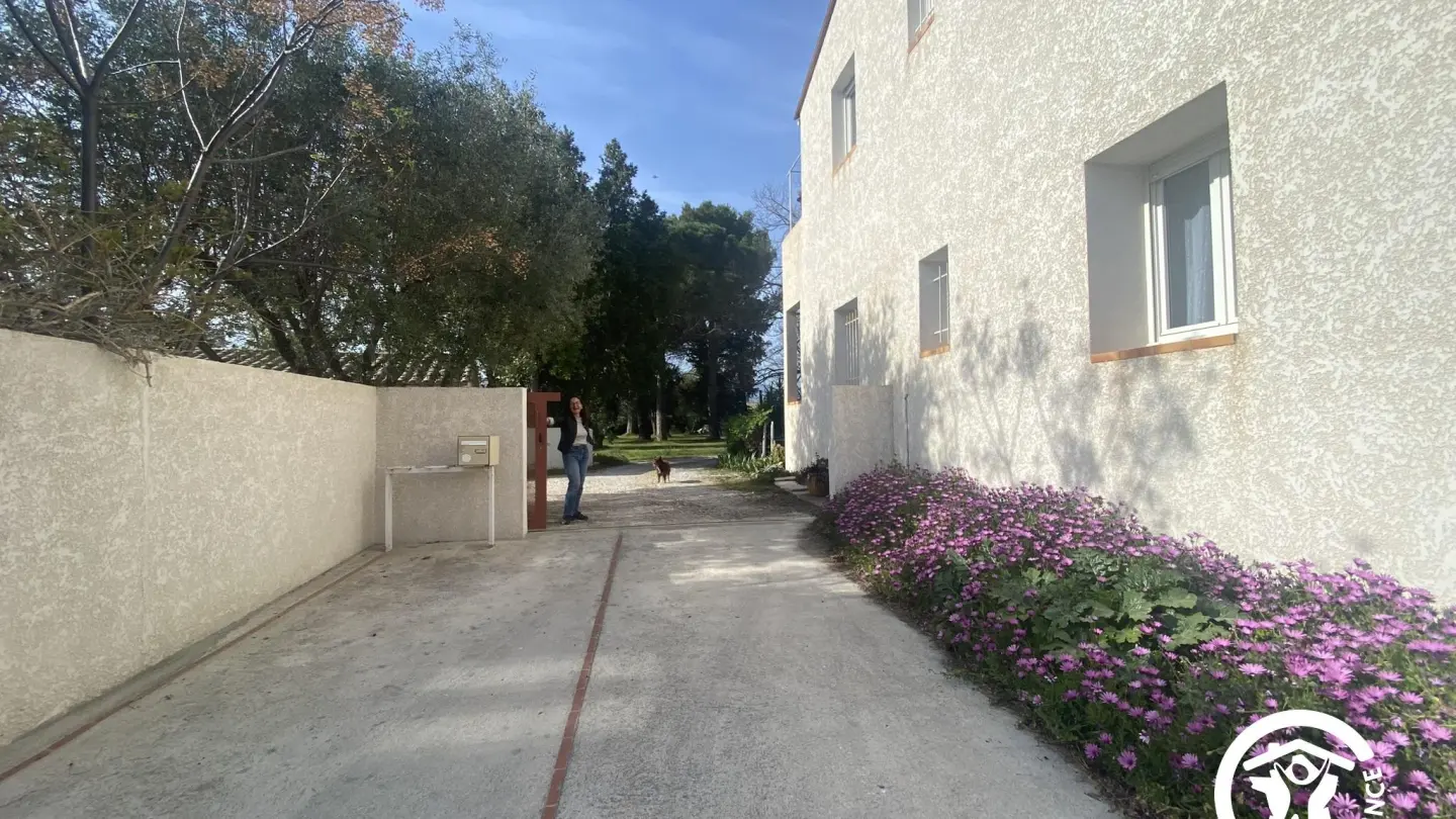 Le Cèdre du Parc de la Dame_14