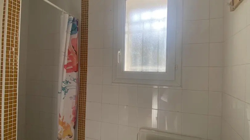 Le Cèdre du Parc de la Dame_13