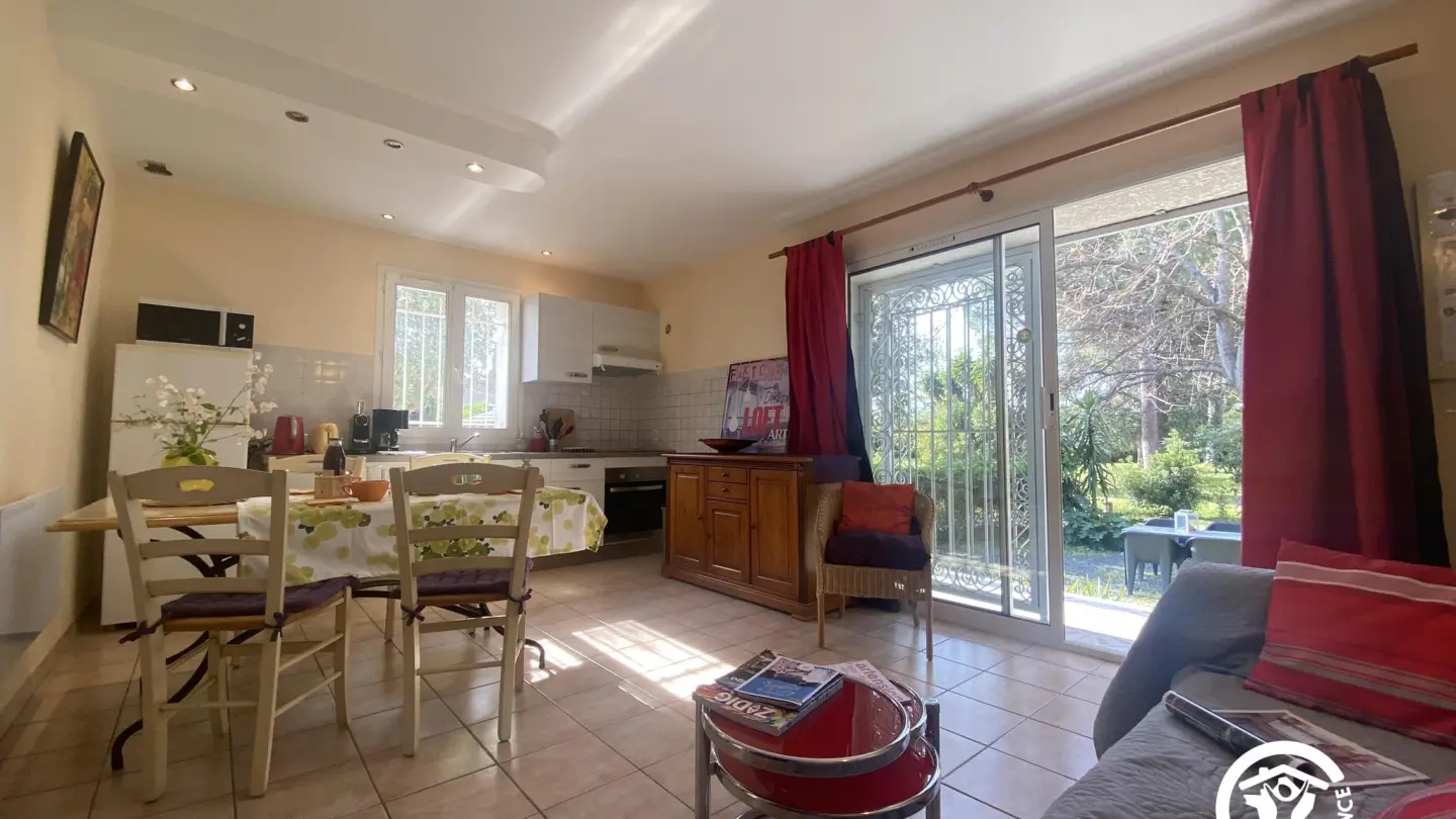 Le Cèdre du Parc de la Dame_2