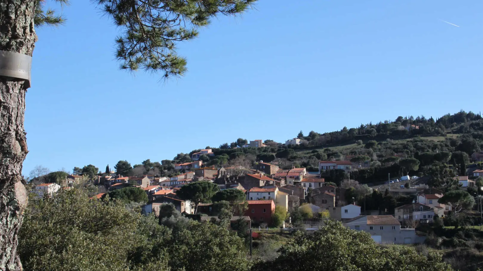 La casa de la Font_43