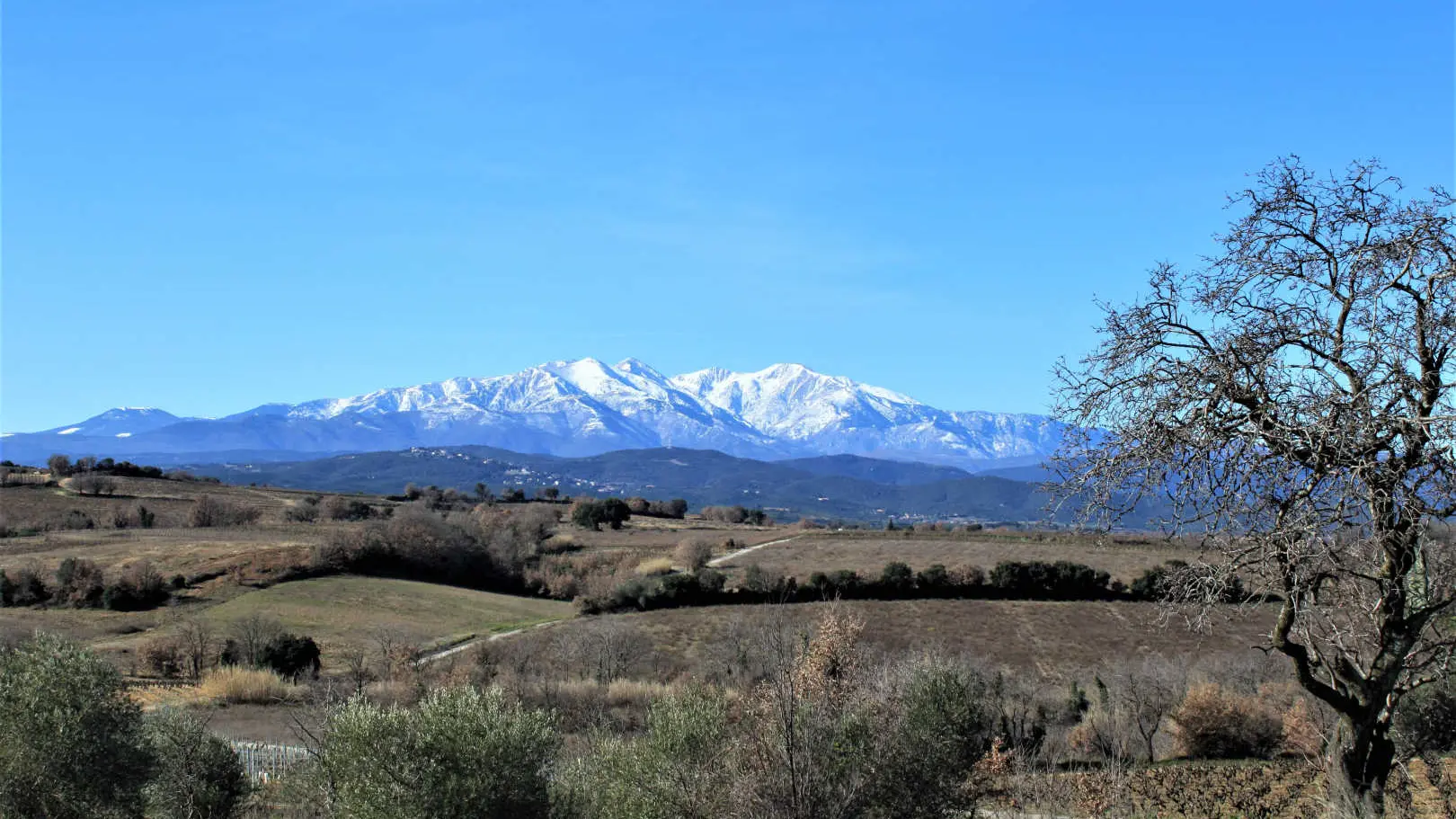 La casa de la Font_40