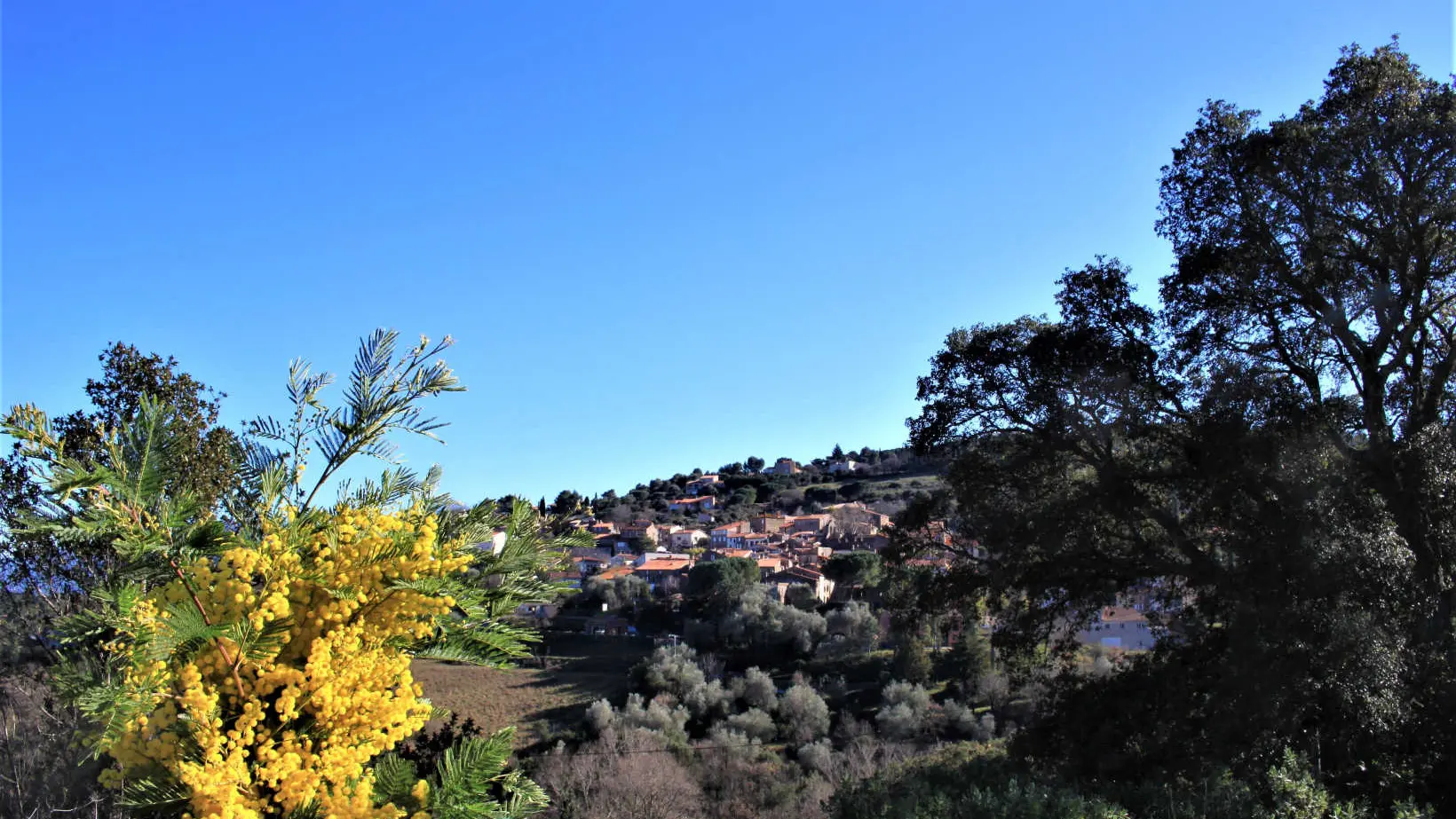 La casa de la Font_44