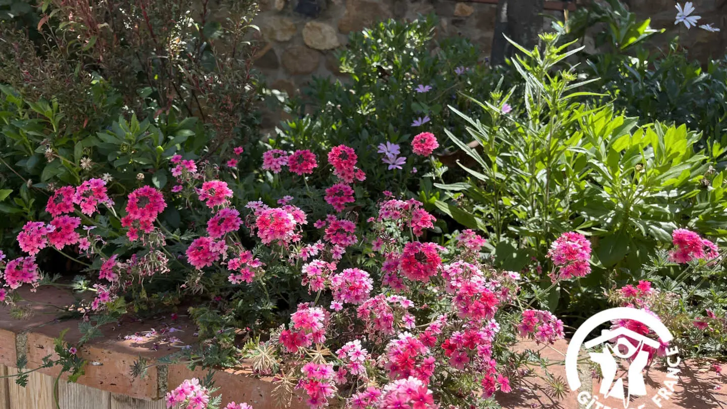 La casa de la Font_29