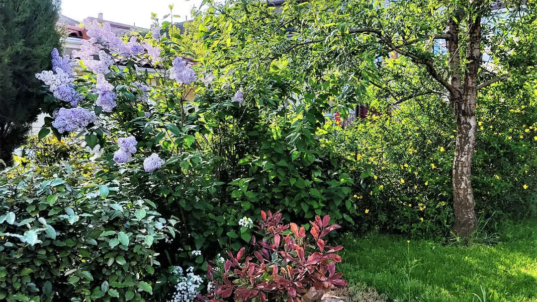 La casa de la Font_9