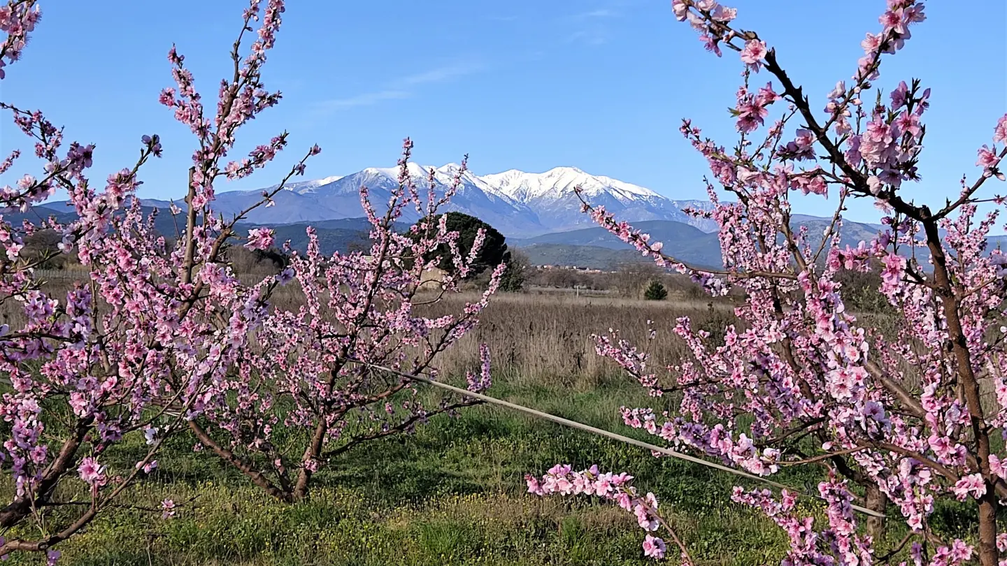 La casa de la Font_39