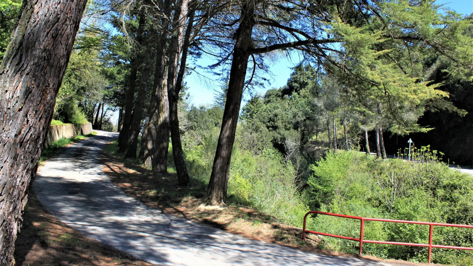 La casa de la Font_45