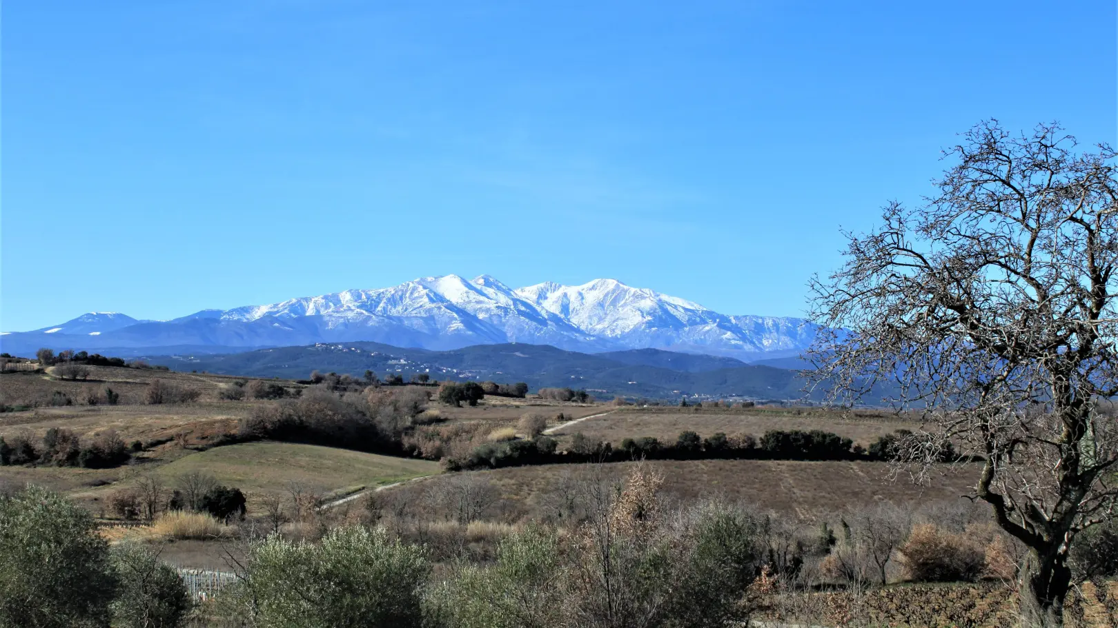 La casa de la Font_40