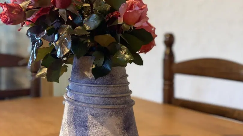 La Terrasse de Llauro_7