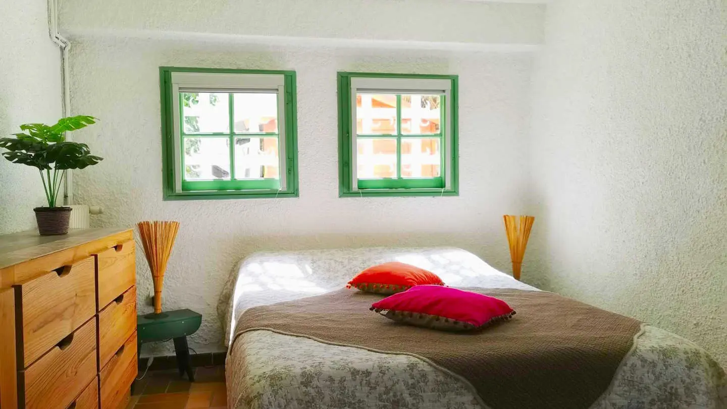 Les micoucouliers_35