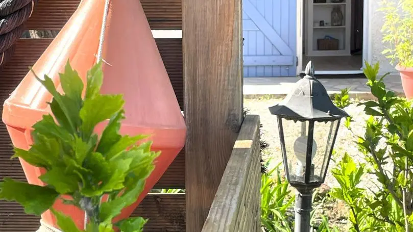 Les micoucouliers_15