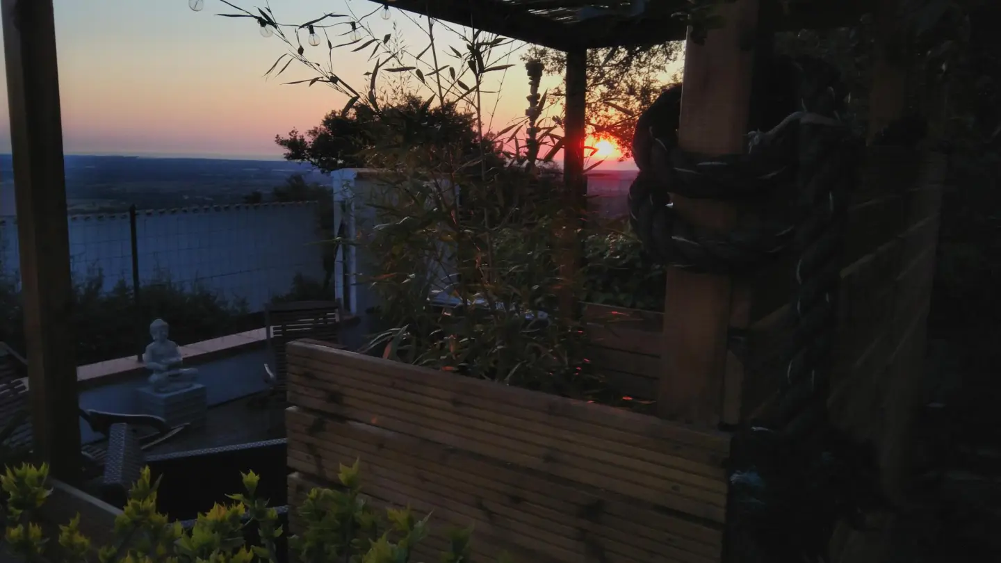 Les micoucouliers_24