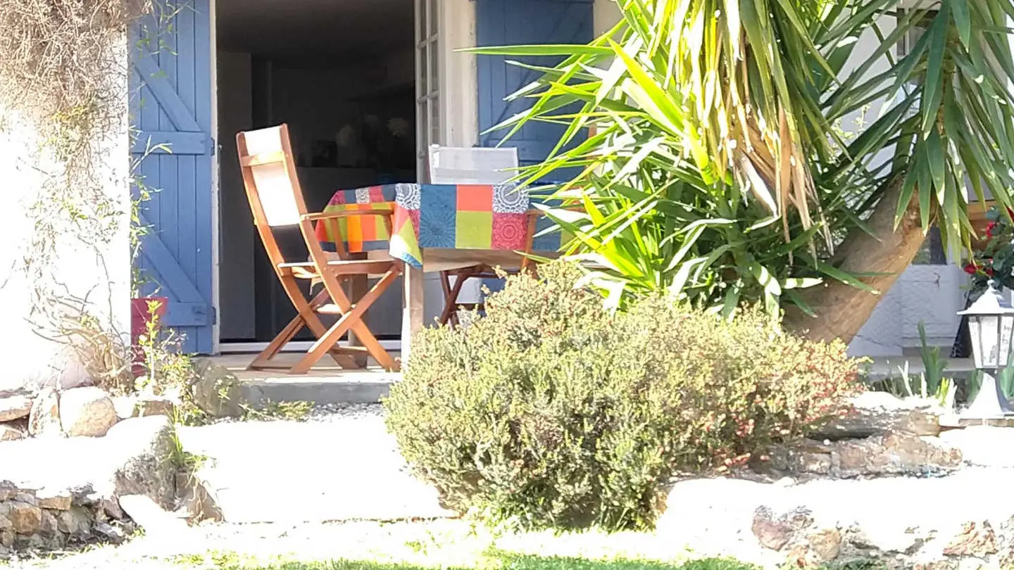 Les micoucouliers_12