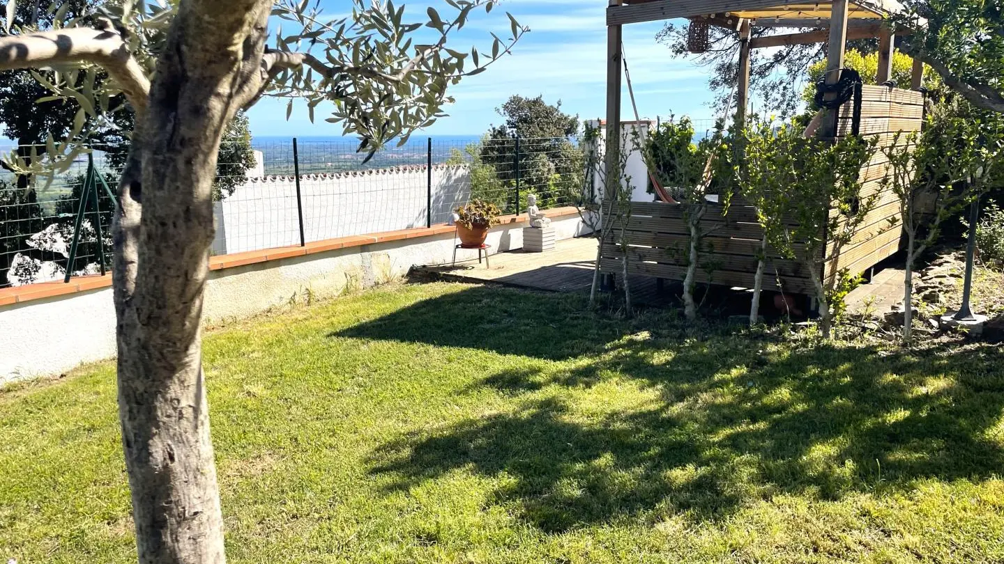 Les micoucouliers_23