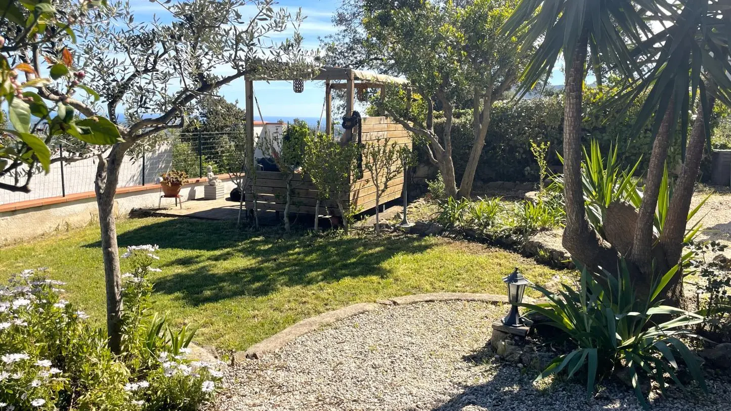 Les micoucouliers_16