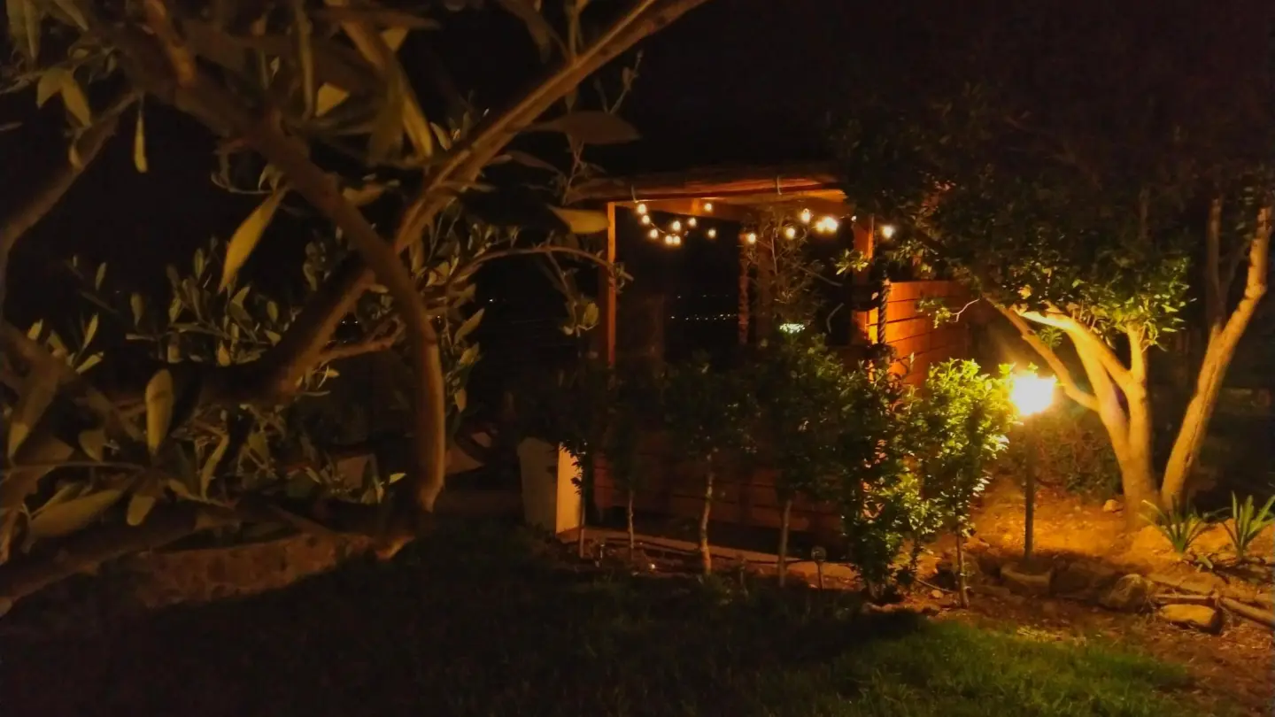 Les micoucouliers_28