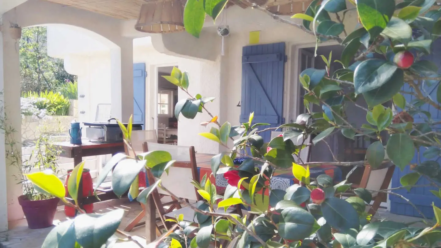 Les micoucouliers_10