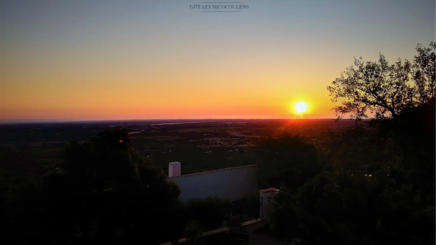 Les micoucouliers_23