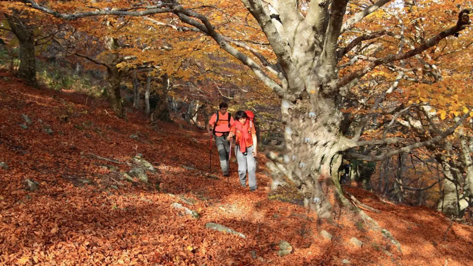 Calme, Nature et Sérénité_15