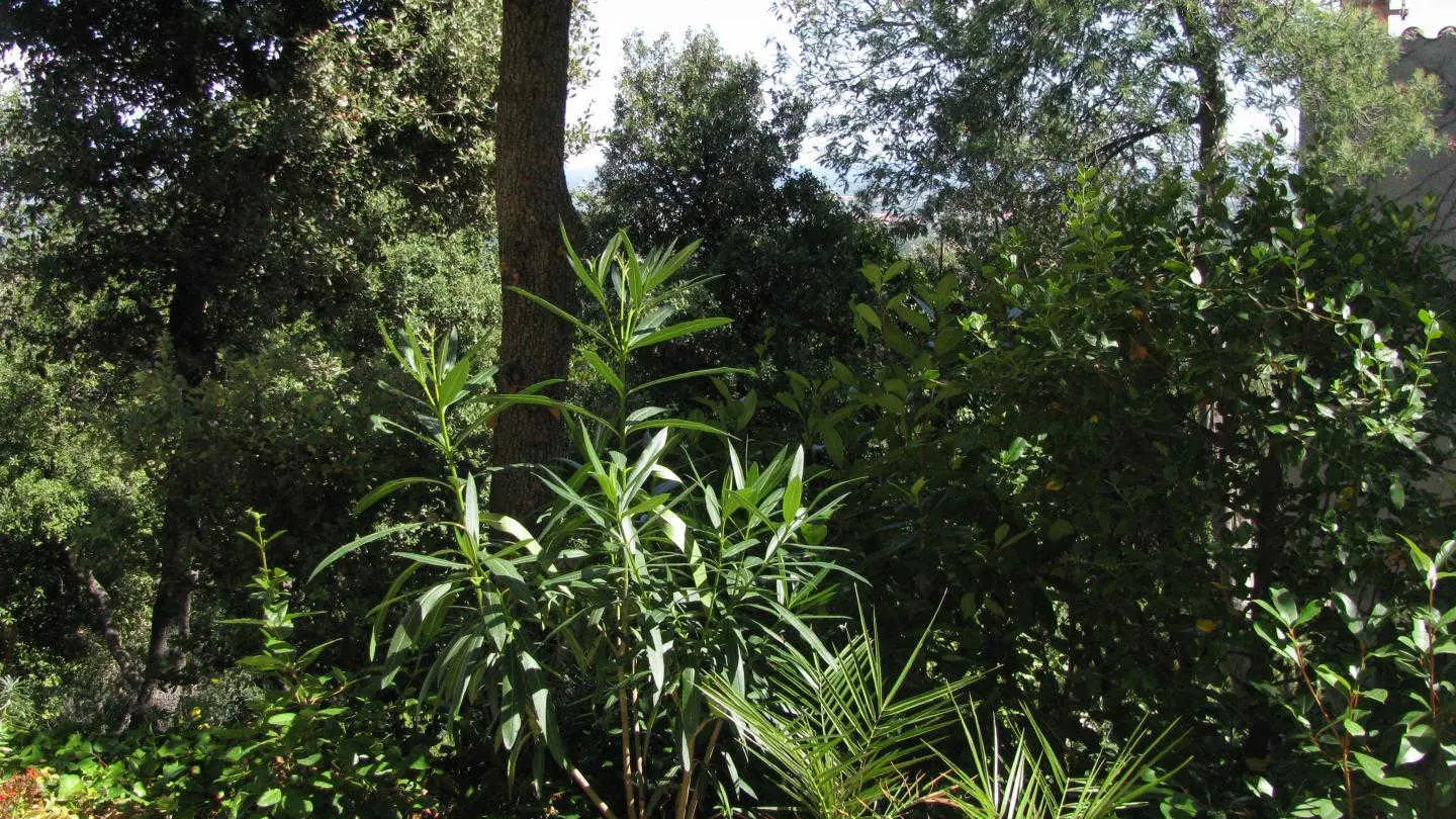 Le Paradis des Albères_28