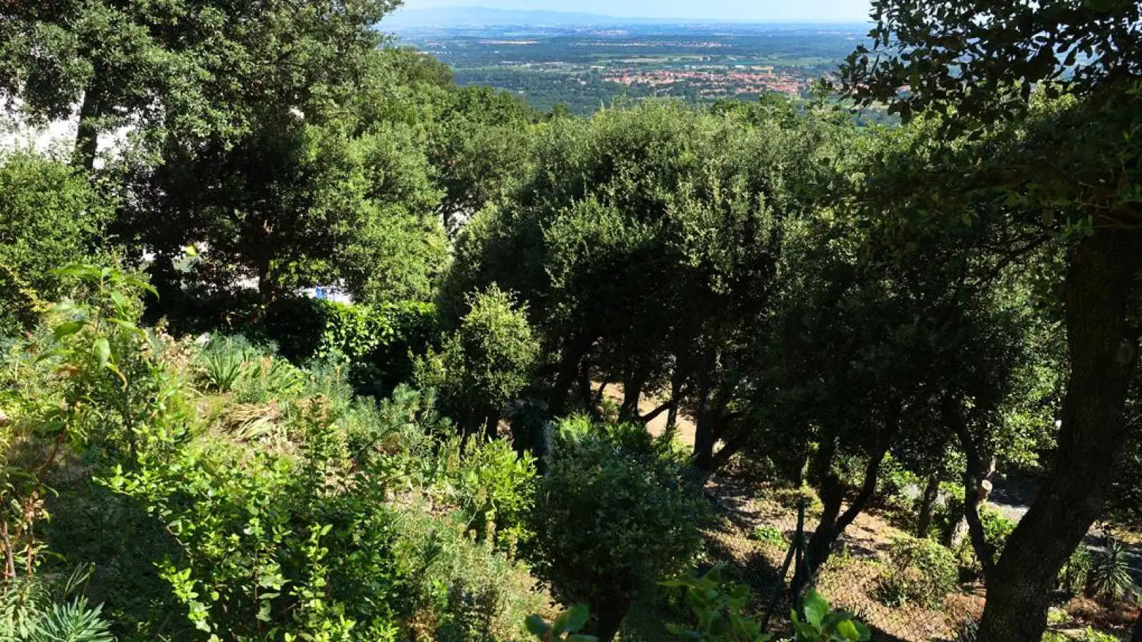 Le Paradis des Albères_27