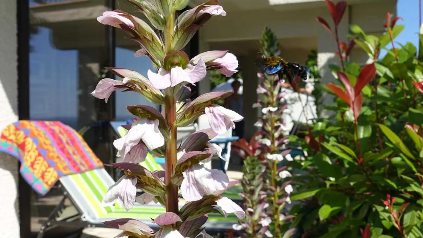 Le Paradis des Albères_19