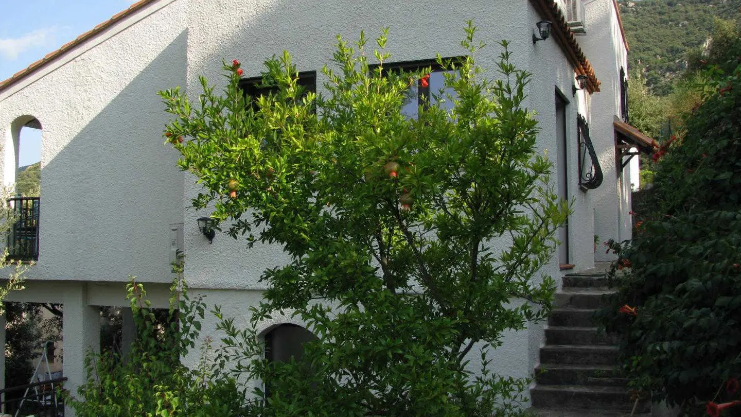 Le Paradis des Albères_26