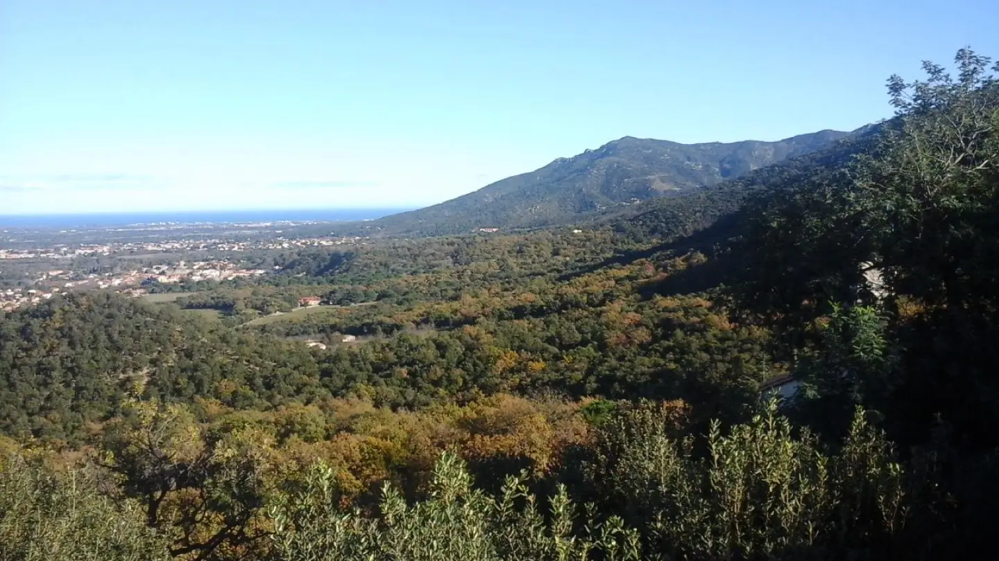 Le Paradis des Albères_31