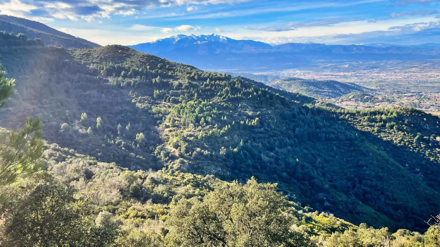 Le gîte des Origans_13