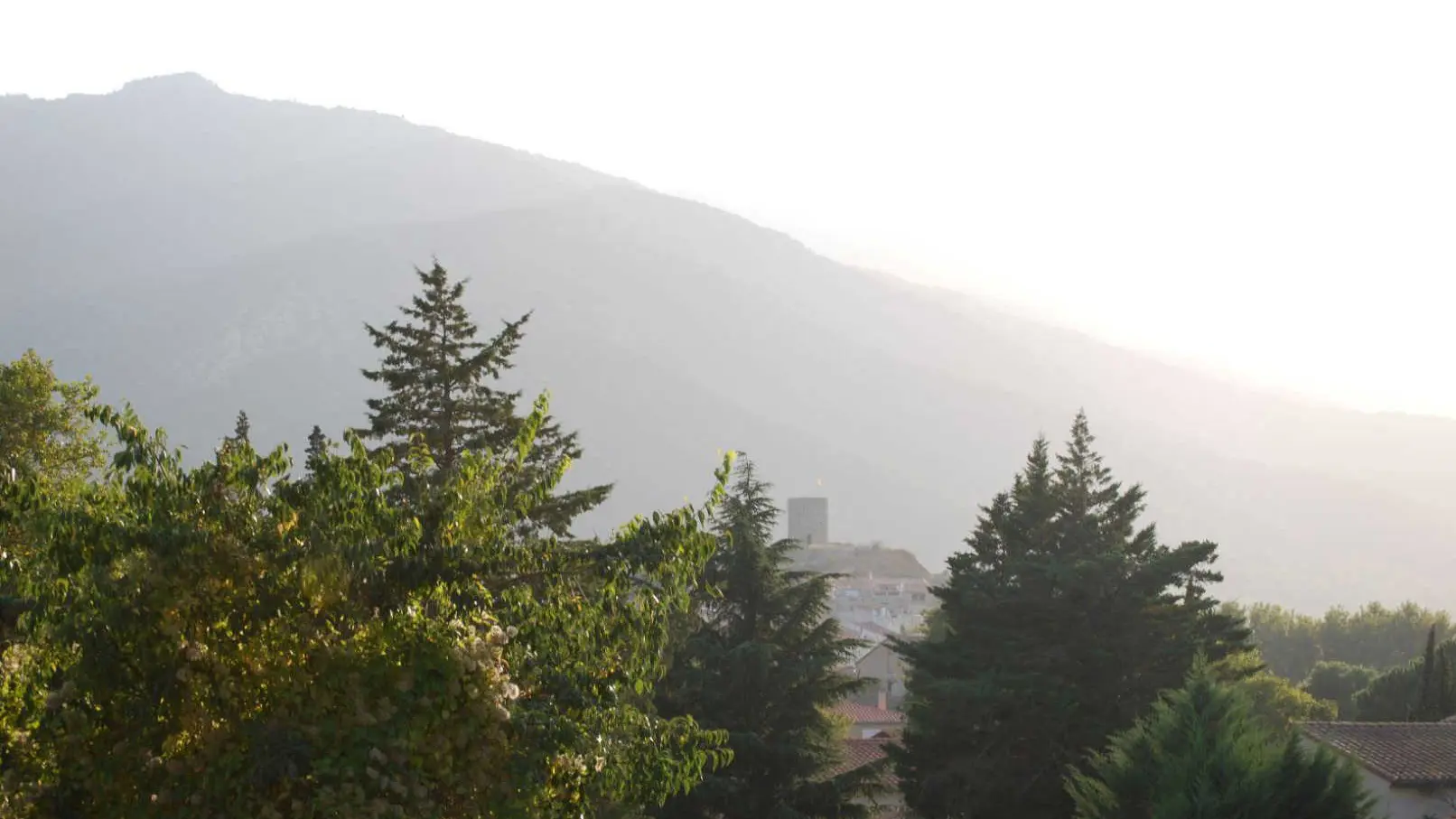 La Grange aux hirondelles_20