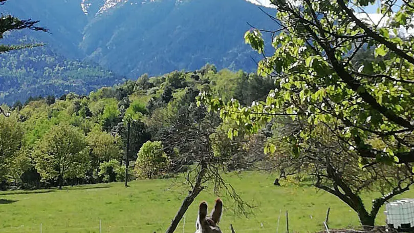 La Grange aux hirondelles_27