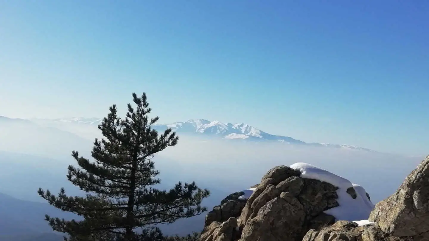 La Grange aux hirondelles_32