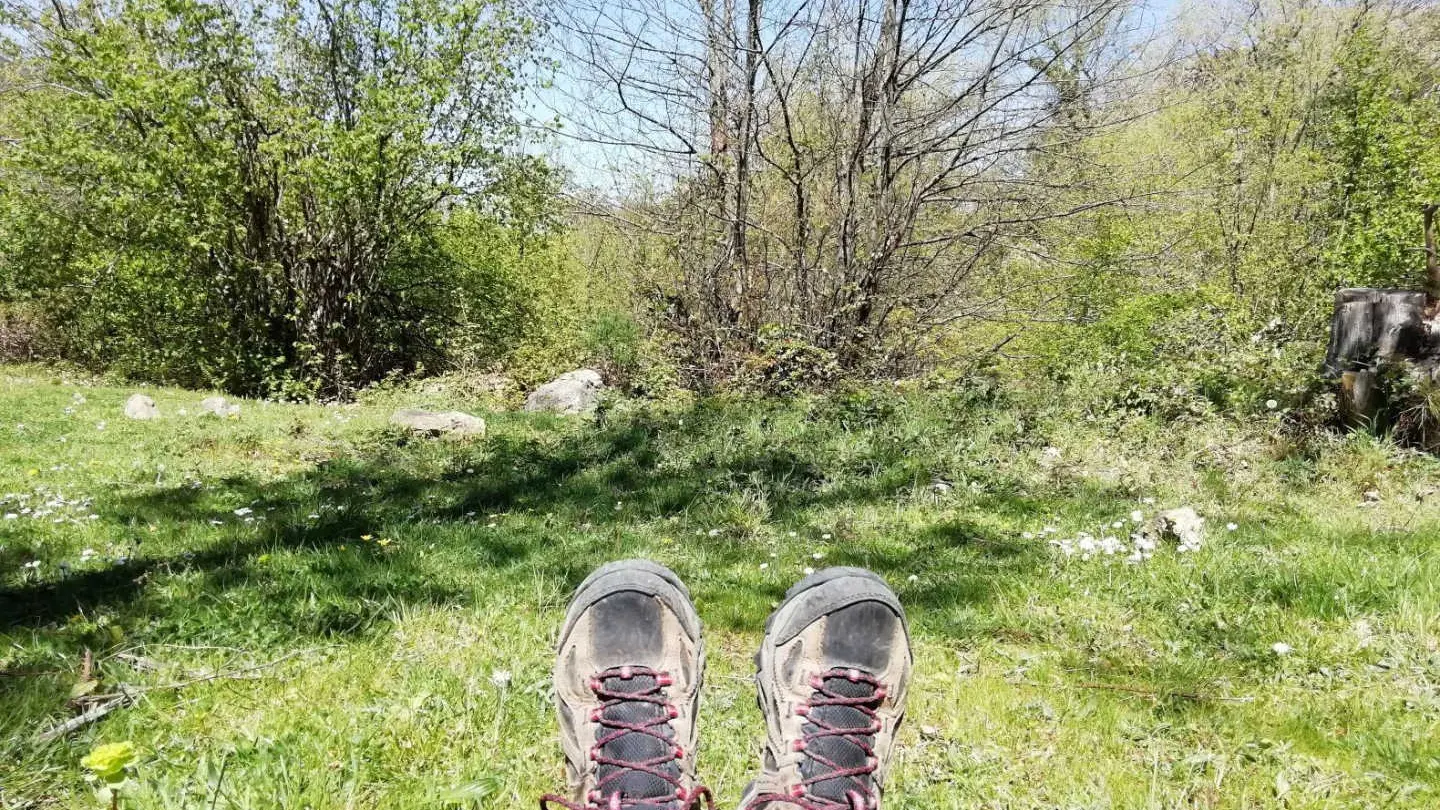 La Grange aux hirondelles_29