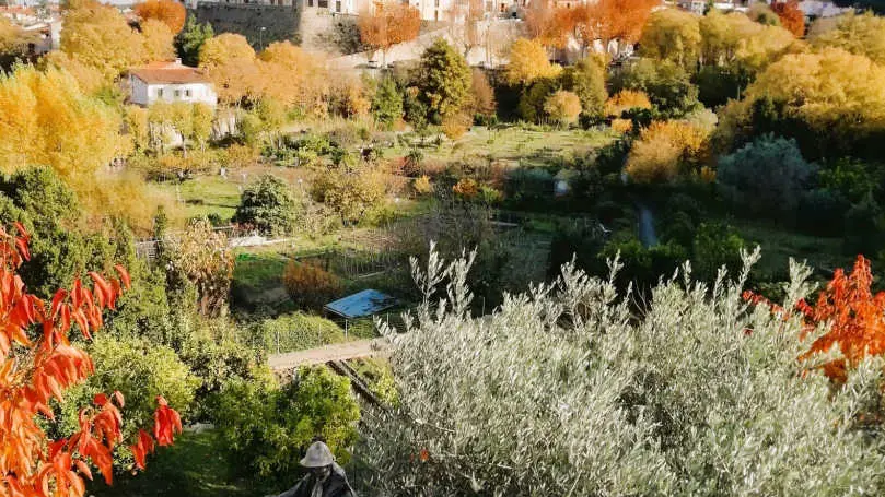 La Grange aux hirondelles_34