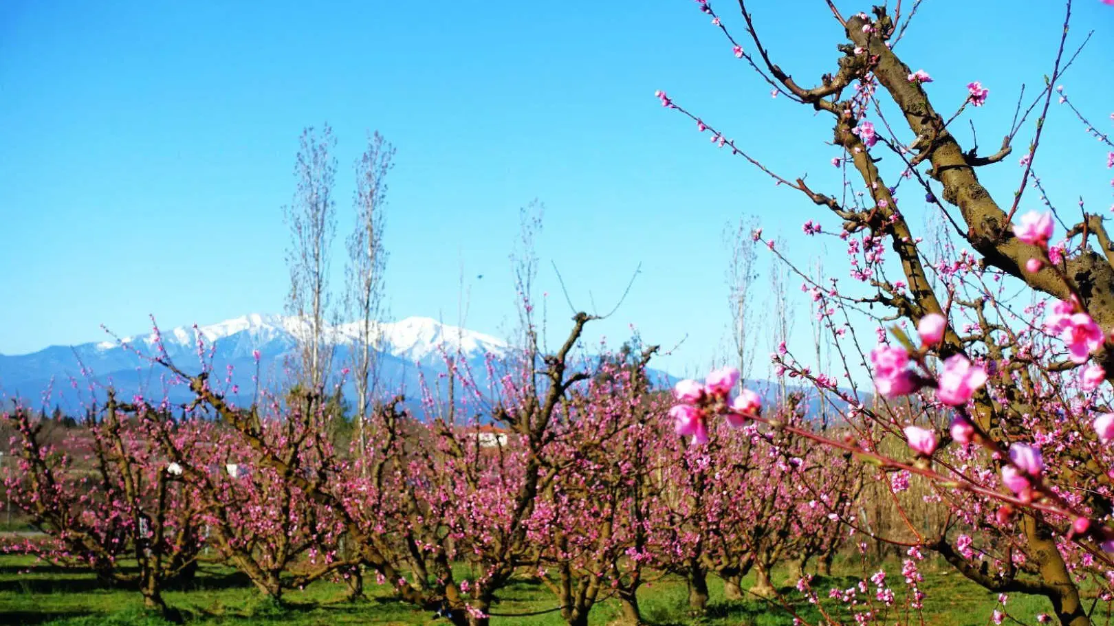 La Grange aux hirondelles_31