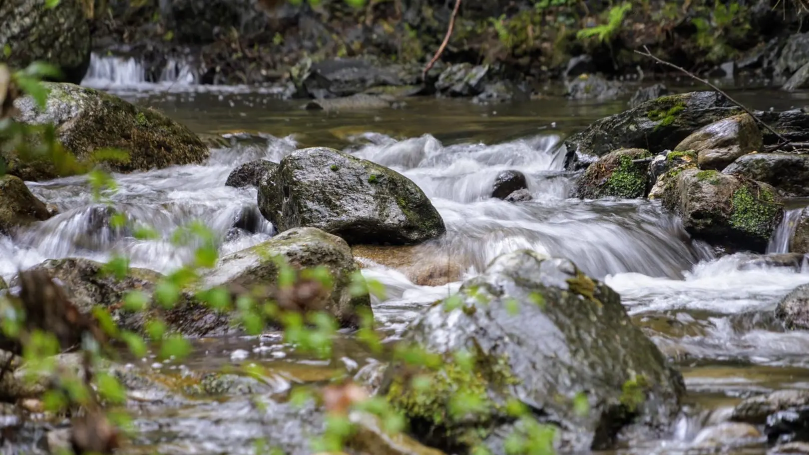 Panorama du Vallespir_54