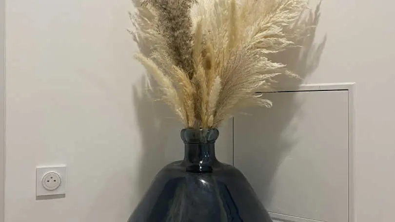 Panorama du Vallespir_23