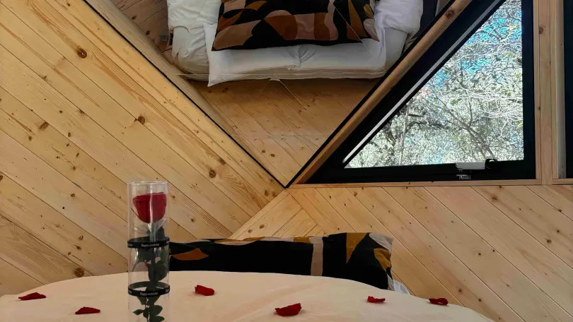 Le Mas Cabanids- Le Miroir_5