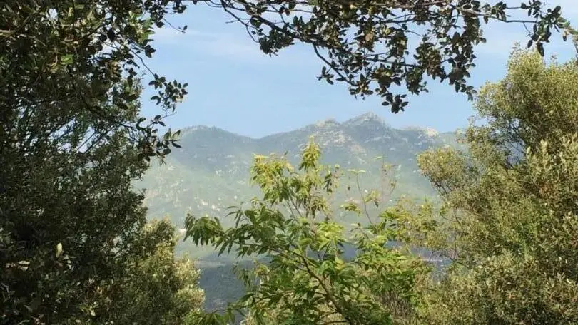 Le Mas de la Prade_46