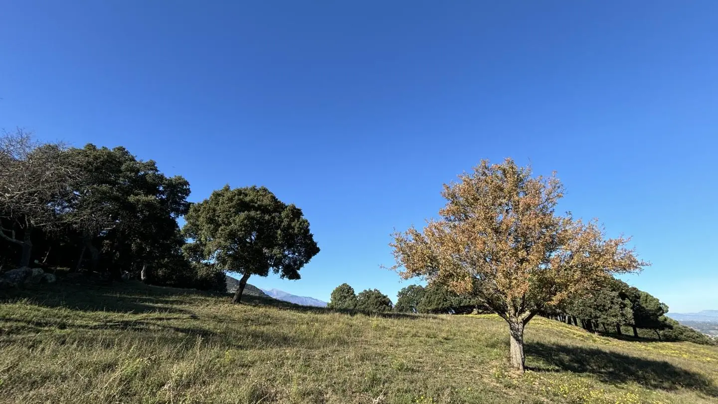 Le Mas de la Prade_50