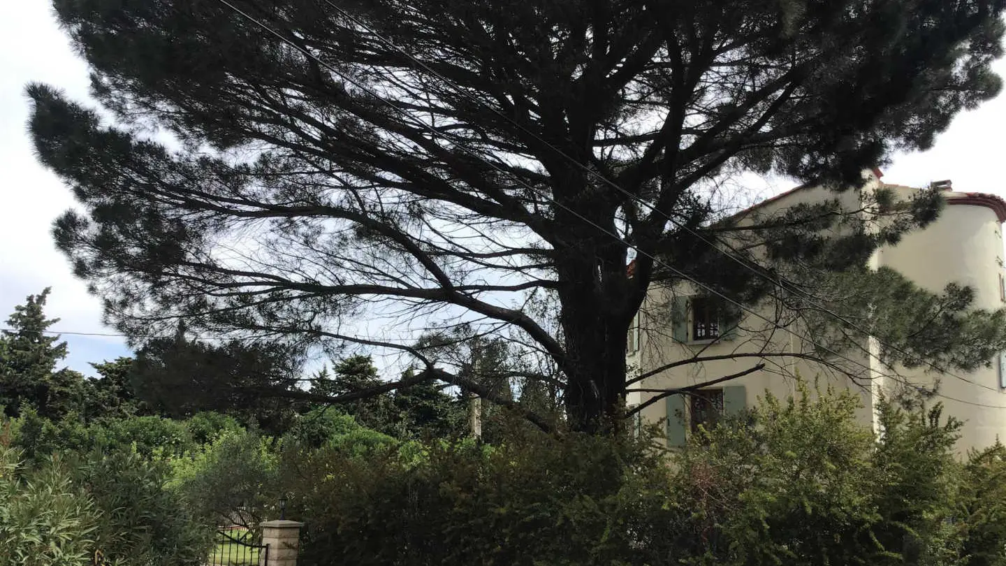 Le pigeonnier - mas batlle_28